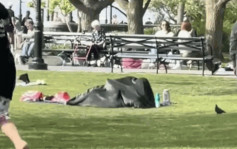 美国纽约公园惊见男女活春宫  疑似毯子下激战片疯传