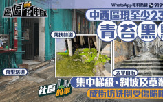 社区的事｜中西区现多个青苔黑点 街坊易跣倒受伤 食环署4年收近百宗投诉