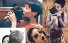 【盧凱彤墮斃】15歲老貓蘇菲曾救主人 網民：保重，她是愛你的