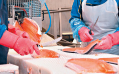 京砧板验出新冠病毒 港食安中心即时检测进口三文鱼样本