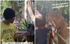 周董一家四口澳洲度假 游动物园仔女甜叫「妈妈」