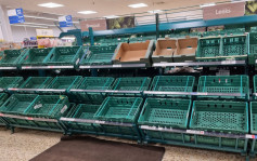 南欧北非蔬果失收供应紧张 英国超市发「限购令」