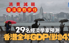 消費減弱 看淡復甦步伐 29名經濟學家預測香港全年GDP僅增4%