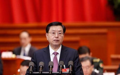 张德江发表工作报告　指「港独」严重违反宪法及基本法