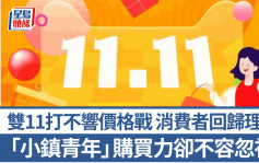 雙11打不響價格戰  消費者回歸理性 「小鎮青年」購買力卻不容忽視