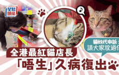 粉絲玩謝貓店長「唔生」  貓奴代申訴：請大家放過佢