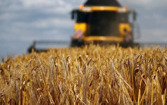 中俄合作文件生效 內地允許俄羅斯小麥進口