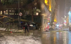 颱風蘇拉｜本港錄逾百宗塌樹報告 私家車遭壓毀 旺角有棚架被吹冧