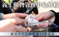 第5波疫情｜义工动物管理中心外拦截救鼠 至中午接收15只仓鼠