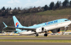 大韓航空客機驚現子彈緊急停飛 全機230人急疏散