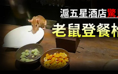 沪五星酒店惊见老鼠登餐枱 市场部门要求整改
