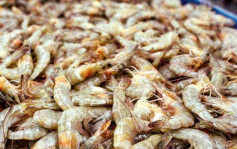 安徽驗出厄瓜多爾凍蝦包裝藏新冠病毒