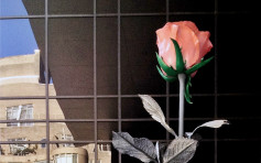 K11 MUSEA打造藝術打卡熱點 8.5米高玫瑰藝術裝置首亮相亞洲
