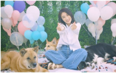 林夏薇积极为家中增添新成员  跟爱犬拍新歌MV鸡手鸭脚  