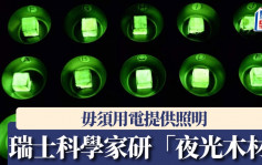 阿凡達科技？｜瑞士科學家研「夜光木材」  毋須電力照明家居