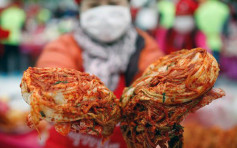 白菜價格大漲53% 南韓腌製泡菜成本升