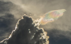 維港會｜天空「虹彩雲」乍現 天文台解構成因