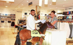 患视网膜退化 BBC记者喜获全英首匹导盲马