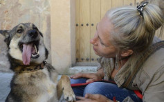西班牙男长期性侵爱犬 下体细菌感染身亡