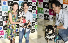 郭秀雲鼓勵港人帶友善愛犬做狗醫生幫人  龐景峰籌備開特技學校