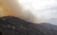 阿爾及利亞發生數十場山火 增至42人死