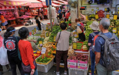 內地進口鮮活食品供應穩定 菜芯平均批發價每斤14元