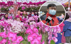 花農拒接受食環屋邨賣花安排 憂與街市花檔爭生意