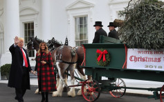 迎接白宫19.5尺圣诞树 特朗普「拍马屁」