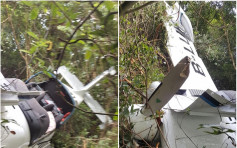【小型飞机坠毁】23岁机师驾小型飞机练习坠毁马屎州草丛 兄弟上前救人