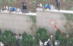 遼寧高校阻外賣員翻牆送餐爆群毆 天降「飯盒雨」