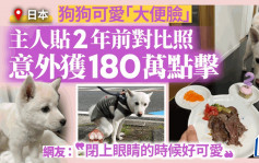 日本狗狗「大便脸」可爱 主人贴2年前后对比照  意外获180万点击