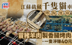 1斤4.5元︱江苏截藏千只猫车  传运广东扮猪羊肉烤串出售