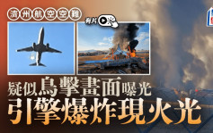 濟州航空空難︱疑似鳥擊畫面曝光引擎爆炸  消息：遇難者身份難以辨認︱有片