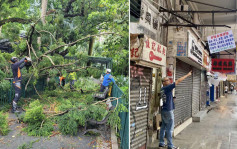 台风泰利︱树木管理部门巡查各区  屋宇署视察闹市招牌