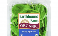 馬鞍山超市美國菠菜樣本鎘含量超標