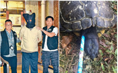 六旬漢鉛筆虐殺巴西龜囚3月 求情指輕度智障曾被咬