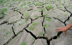 歐洲乾旱水位逐降 2030年或威脅供電穩定