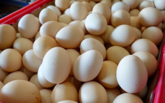 台湾爆鸡蛋荒 餐饮业：有钱也买不到蛋