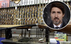 加强管制 加拿大即时禁用1500种军用类枪械