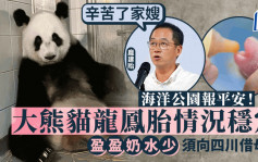 港产大熊猫︱庞建贻：乐乐不知子女存在 园方与盈盈轮流照顾宝宝 情况稳定