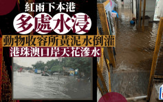 紅雨期間 本港多處出現水浸 港珠澳大橋香港口岸天花滲水