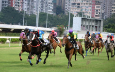 【谷草煞科】马会宣布明年7月15日补赛 