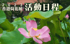 2023香港荷花展｜活动日程