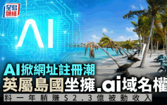 AI熱潮｜各界搶註冊.ai域名 島國安圭拉年賺2.3億元被動收入