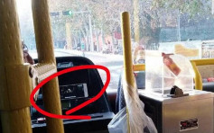 郑州巴士司机开车时煲剧 被罚停职一周再接受教育