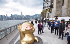 旅发业界欢迎政府取消黄码安排　盼旅客重回香港