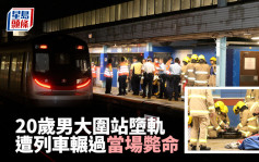 20歲男子東鐵大圍站墮軌遭撞斃 九龍塘至沙田站服務一度暫停