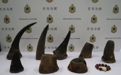 行李藏怀疑犀牛角象牙制品约值163万元　37岁男子机场入境被捕