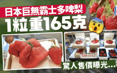 一颗草莓贵过一部电视机！日本收成重165克 被喻为士多啤梨巨无霸