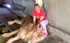女游客与狮子合照遭咬至重伤 乌克兰动物园拒绝赔偿